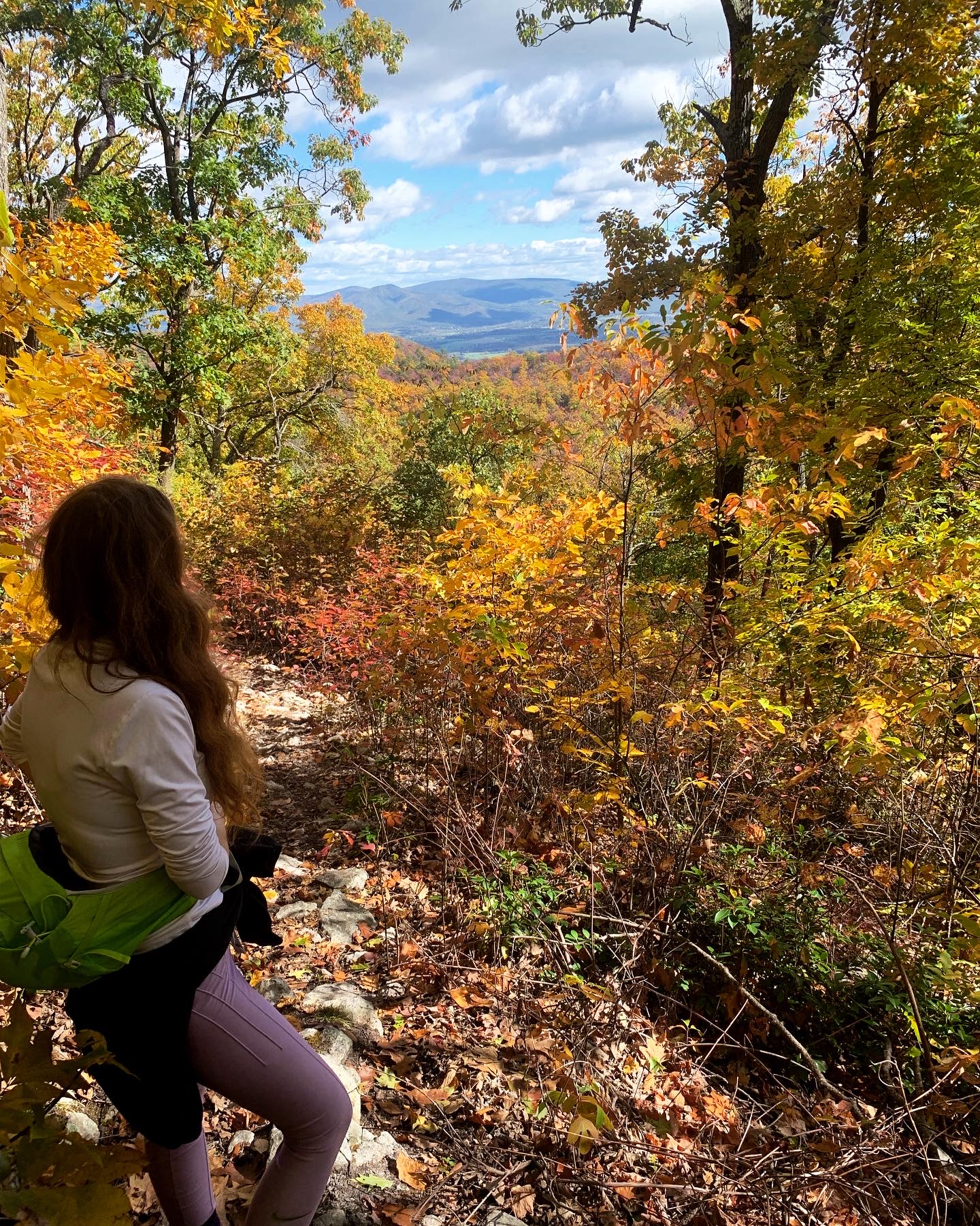 Hiking in nature, connecting with the environment